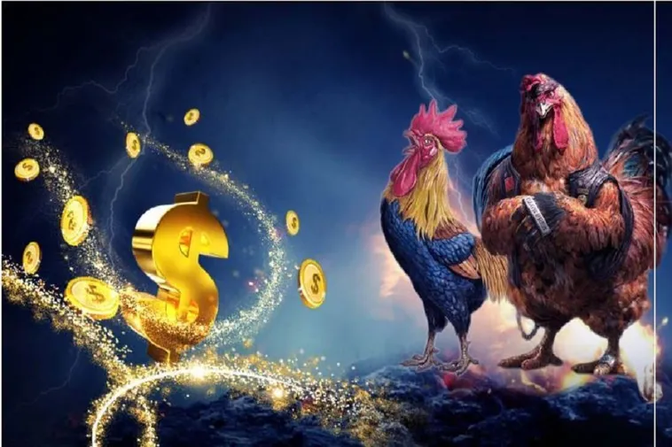 Cách Chơi Đá Gà WS168 Tại 789Win Để Tối Ưu Thắng