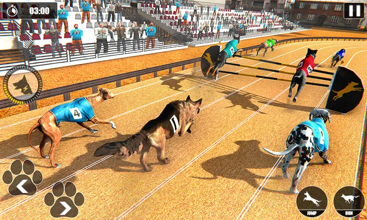 Cách Chơi Game Nhanh Đua Chó Tại 789Win Để Chiến Thắng Lớn